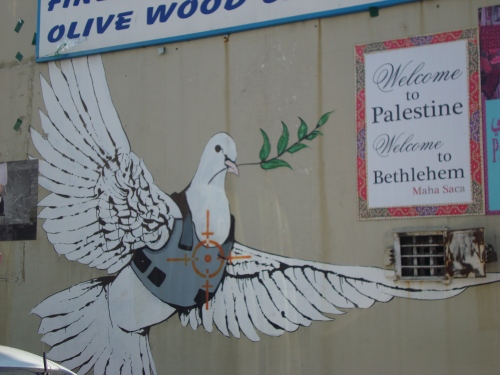 dove with vest on palestine bethlehem street art banksy israel