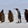 Looking for last-minute Antarctica tickets? Eight FAQ answered